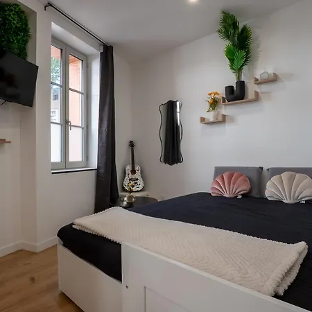 Le Marechal - Cosy En Centre-ville * Toulouse