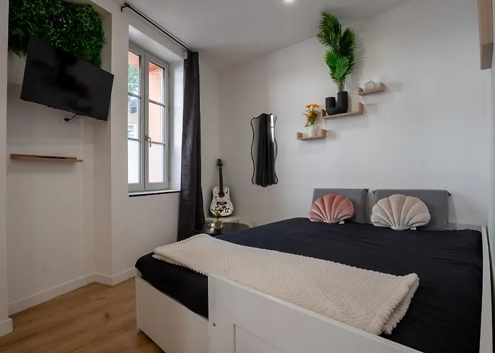 Le Marechal - Cosy En Centre-ville * טולוז