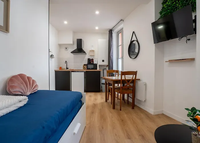 Διαμέρισμα Le Marechal - Cosy En Centre-ville Τουλούζη