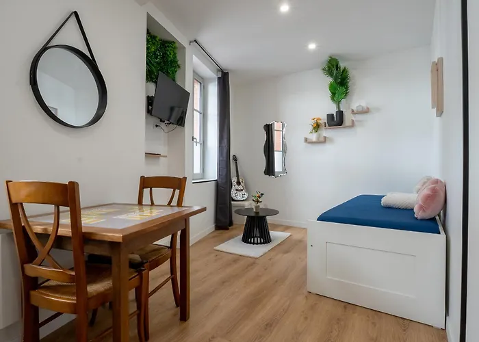 Le Marechal - Cosy En Centre-ville דירה טולוז