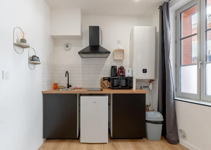 דירה Le Marechal - Cosy En Centre-ville טולוז